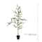 6ft. Potted Shady Lady Tree by Ashland®
